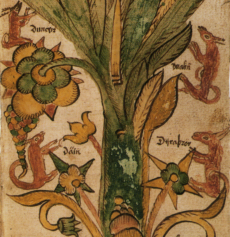 Deer much at the foliage on Yggdrasil. Iceland, 17th century.